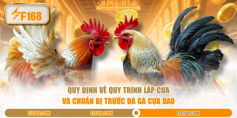Quy định về quy trình lắp cựa và chuẩn bị trước đá gà cựa dao Quy định về quy trình lắp cựa và chuẩn bị trước đá gà cựa dao